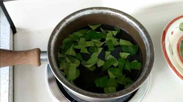 How to make wintergreen pot for decoration